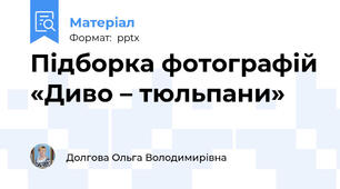 Підборка фотографій «Диво – тюльпани»