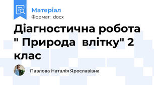 Діагностична робота " Природа  влітку" 2 клас