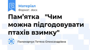 Пам’ятка   "Чим можна підгодовувати птахів взимку"