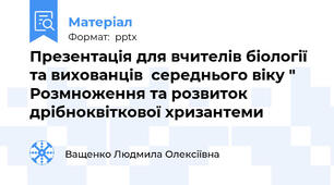 Презентація для вчителів біології та вихованців  середнього віку " Розмноження та розвиток дрібноквіткової хризантеми