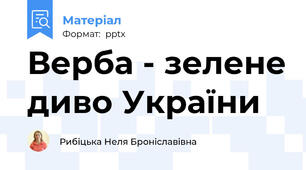 Верба - зелене диво України