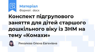 Конспект пiдгрупового заняття для дiтей старшого дошкiльного вiку iз ЗНМ на тему «Комахи»