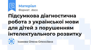 Підсумкова діагностична робота з української мови для дітей з порушенням інтелектуального розвитку