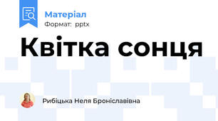 Квітка сонця
