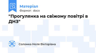 "Прогулянка на свіжому повітрі в ДНЗ"