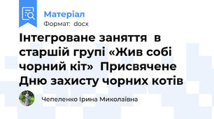 Інтегроване заняття  в старшій групі «Жив собі чорний кіт»  Присвячене Дню захисту чорних котів