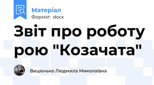 Звіт про роботу рою "Козачата"