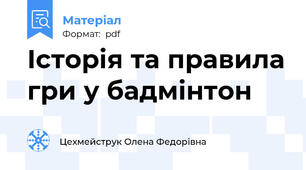 Історія та правила гри у бадмінтон