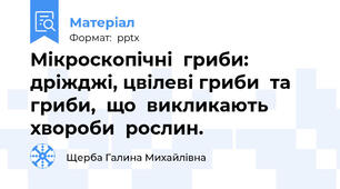 Мікроскопічні  гриби: дріжджі, цвілеві гриби  та  гриби,  що  викликають  хвороби  рослин.