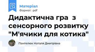 Дидактична гра  з сенсорного розвитку "М'ячики для котика"
