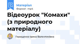 Відеоурок "Комахи" (з природного матеріалу)