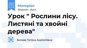 Урок " Рослини лісу. Листяні та хвойні дерева"