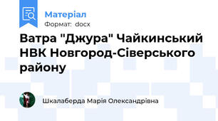 Ватра "Джура" Чайкинський НВК Новгород-Сіверського району
