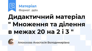 Дидактичний матеріал " Множення та ділення в межах 20 на 2 і 3 "