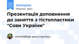 Презентація доповнення до заняття з тістопластики "Сови України"