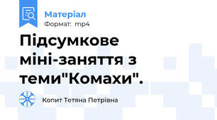 Підсумкове міні-заняття з теми"Комахи".