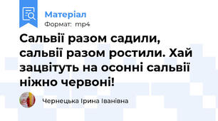 Сальвії разом садили, сальвії разом ростили. Хай зацвітуть на осонні сальвії ніжно червоні!