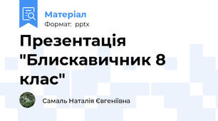 Презентація "Блискавичник 8 клас"