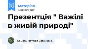 Презентція " Важілі в живій природі"