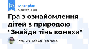 Гра з ознайомлення дітей з природою "Знайди тінь комахи"