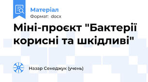 Міні-проєкт "Бактерії корисні та шкідливі"