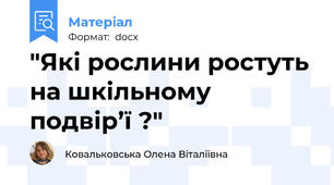 "Які рослини ростуть на шкільному подвір’ї ?"