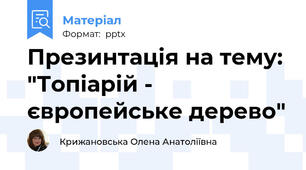 Презинтація на тему: "Топіарій - європейське дерево"