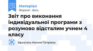 Звіт про виконання індивідуальної програми з розумово відсталим учнем 4 класу