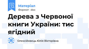 Дерева з Червоної книги України: тис ягідний