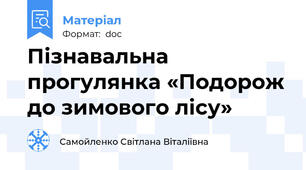 Пізнавальна прогулянка «Подорож до зимового лісу»
