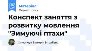Конспект заняття з розвитку мовлення "Зимуючі птахи"