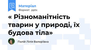 « Різноманітність тварин у природі, їх будова тіла»