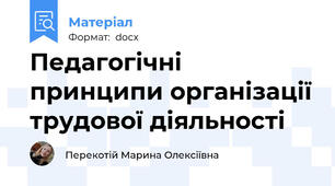 Педагогічні принципи організації трудової діяльності