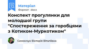 Конспект прогулянки для молодшої групи "Спостереження за горобцями з Котиком-Муркотиком"