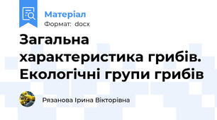 Загальна характеристика грибів. Екологічні групи грибів