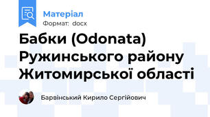 Бабки (Odonata)  Ружинського району  Житомирської області