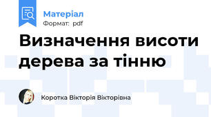 Визначення висоти дерева за тінню