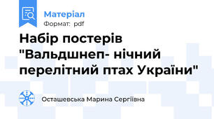 Набір постерів "Вальдшнеп- нічний перелітний птах України"