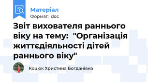 Звіт вихователя раннього віку на тему:  "Організація життєдіяльності дітей раннього віку"