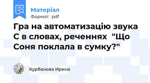 Гра на автоматизацію звука  С в словах, реченнях  "Що Соня поклала в сумку?"