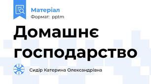 Домашнє господарство