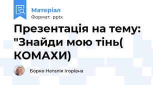 Презентація на тему: "Знайди мою тінь( КОМАХИ)