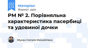 РМ № 2. Порівняльна характеристика пасербиці та удовиної дочки