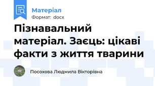 Пізнавальний матеріал. Заєць: цікаві факти з життя тварини