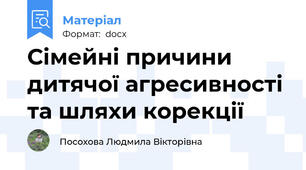 Сімейні причини дитячої агресивності та шляхи корекції