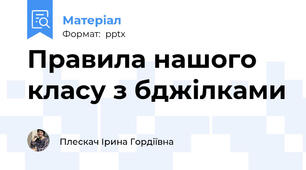 Правила нашого класу з бджілками