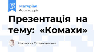 Презентація  на тему:  «Комахи»