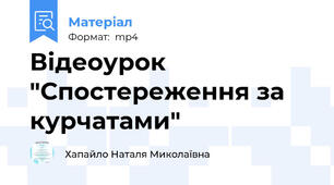 Відеоурок "Спостереження за курчатами"