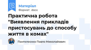 Практична робота "Виявлення прикладів пристосувань до способу життя в комах"