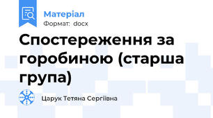 Спостереження за горобиною (старша група)